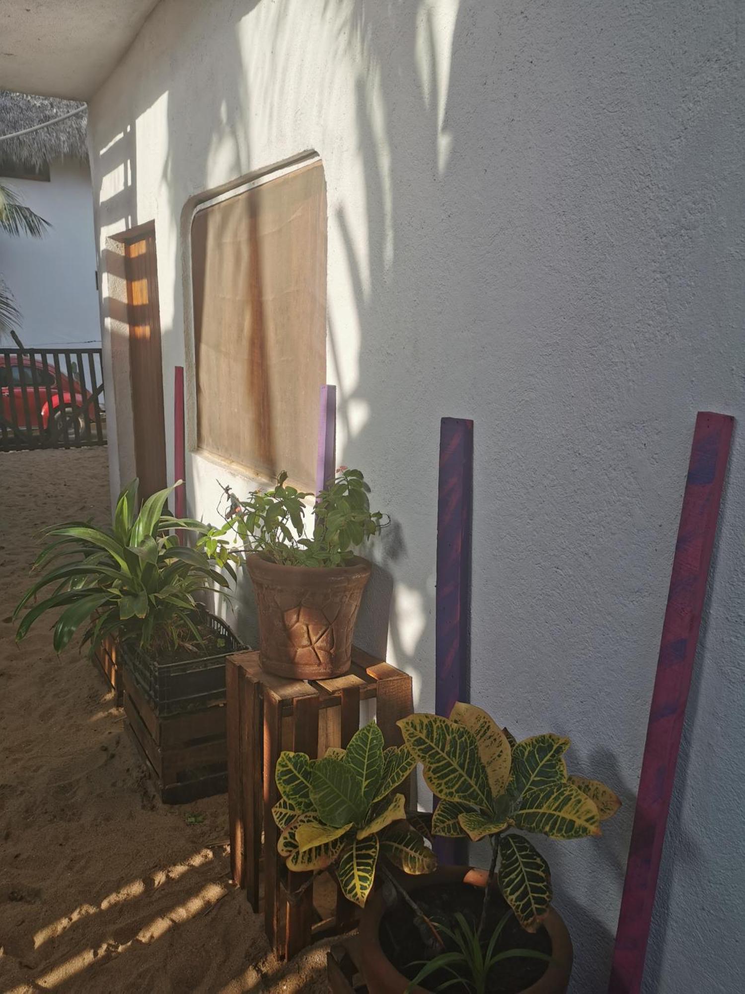 Hotel La máxima& LGBT Zipolite Habitación foto