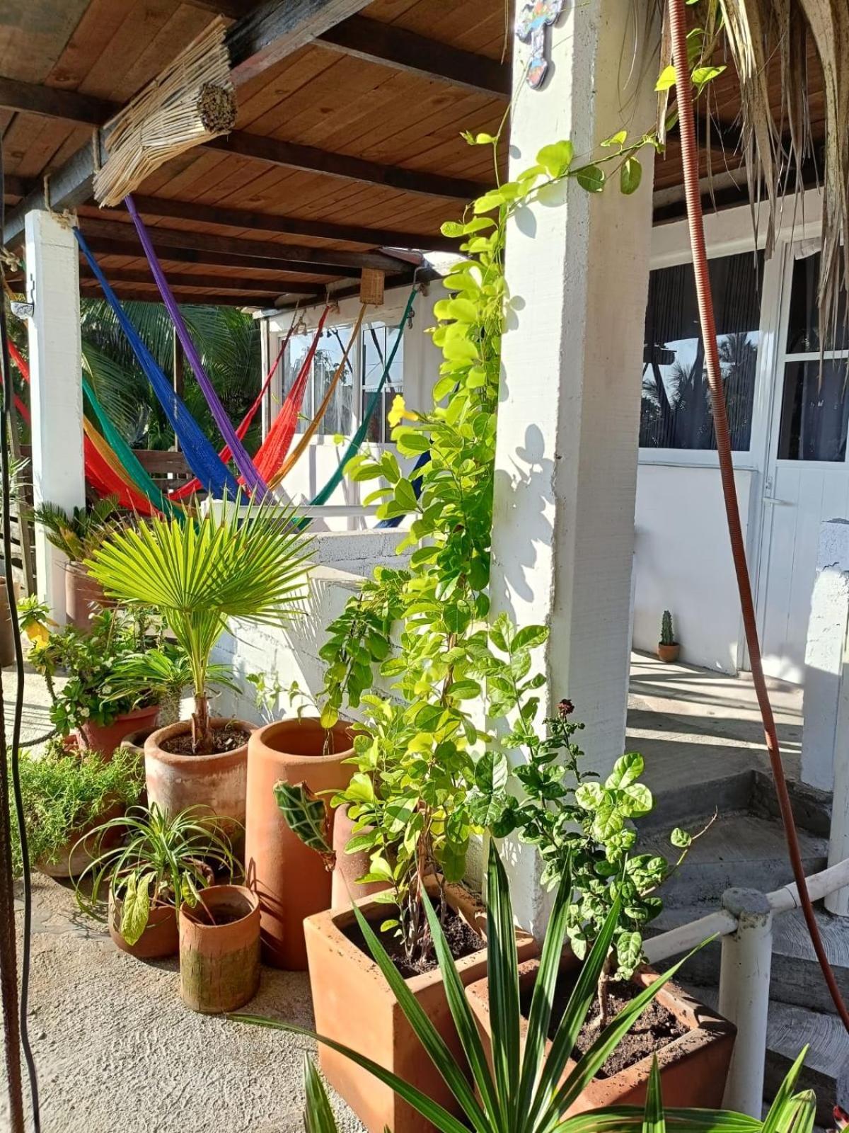 Hotel La máxima& LGBT Zipolite Exterior foto
